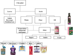 Semi di Chia Salute: Proprietà Nutrizionali e Benefici